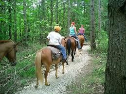 camping horse riding