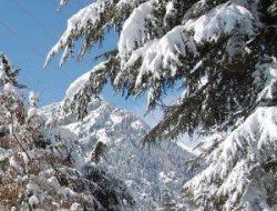 Shimla Manali Holidays Packages