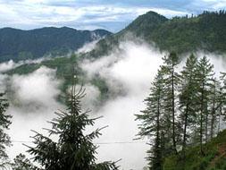 shimla manali HoneyMoon packages Hotels