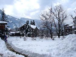 shimla manali HoneyMoon packages Hotels