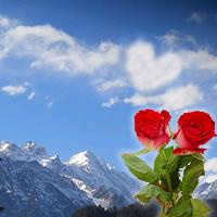 shimla manali HoneyMoon packages Hotels